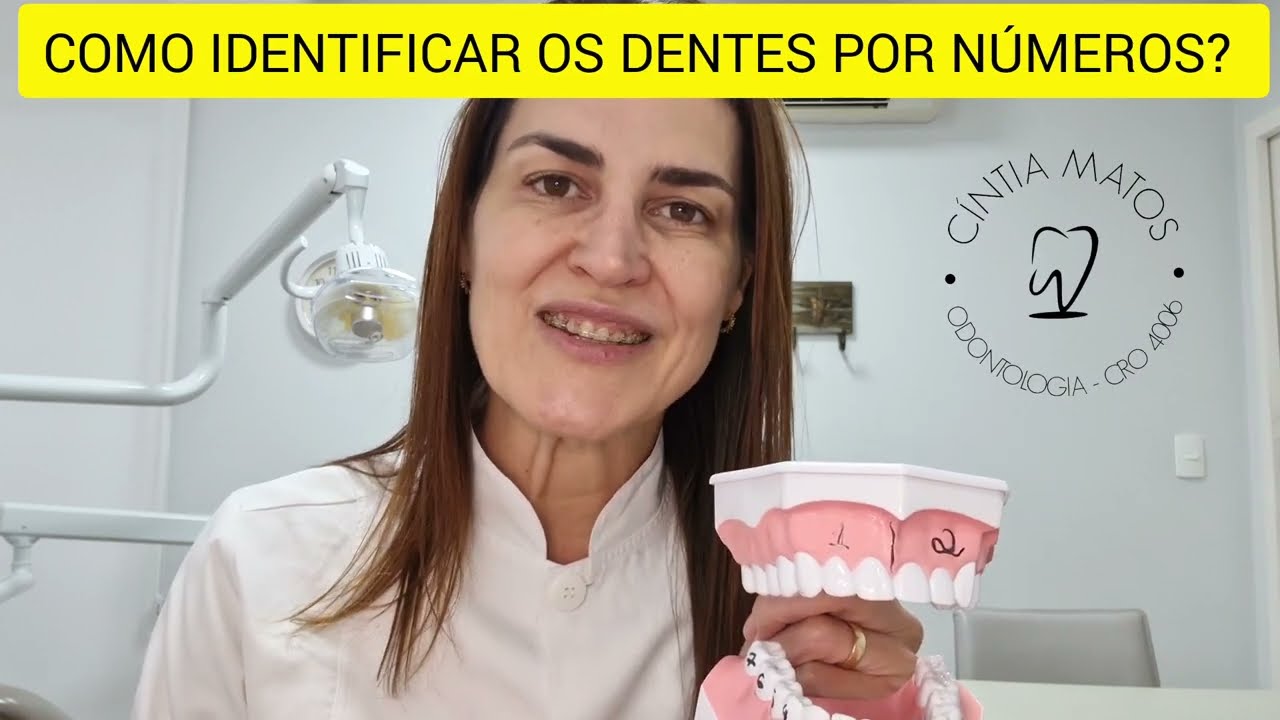 NUMERAÇÃO DOS DENTES E NOMES. COMO IDENTIFICAR OS DENTES POR NÚMEROS?