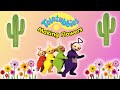Teletubbies Making Flowers DVD