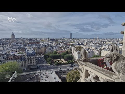 Un nouveau parcours de visite pour les tours de Notre-Dame