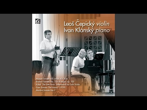 Sonata in E Minor, K. 304 for Violin & Piano: II. Tempo di Menuetto