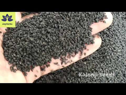Black Cumin Kalonji Seeds