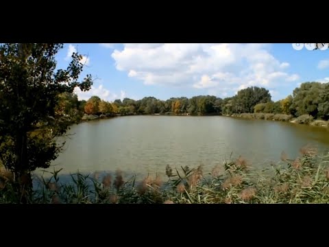 Hazahúzó (Csömör)