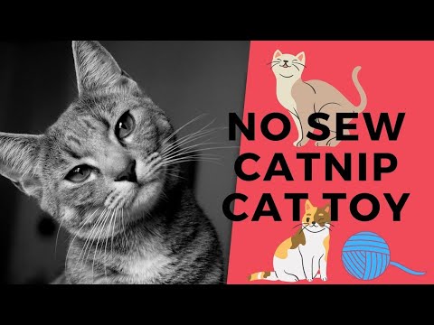 DIY Easy No Sew Catnip Cat Toy. Let's Craft
