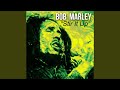 How Many Times - Bob Marley - Topic How Many Times