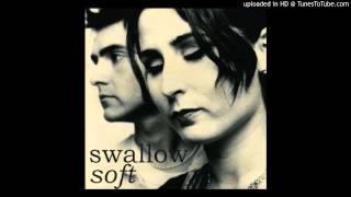 swallow - heavenly