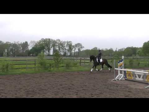 Rock for diamonds von rock forever