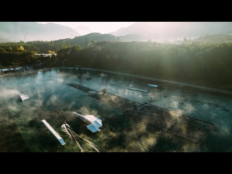 Content Production at @area47