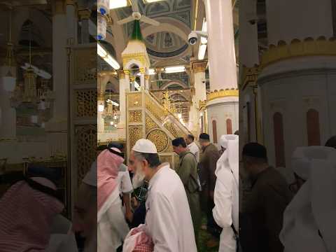 Rawdah Riaz Ul Jannah | Piece of Paradise #rawdah #masjidnabawi #madinah #riazuljannah #hajj2023
