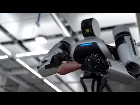 Ambidex Robot Review Video 3