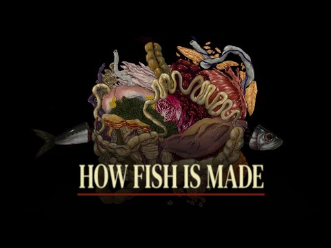 How Fish Is Made Official Trailer thumbnail