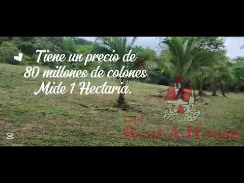 Imagen de Venta de Lotes y Terrenos en Orotina - Orotina Orotina - ALAJUELA