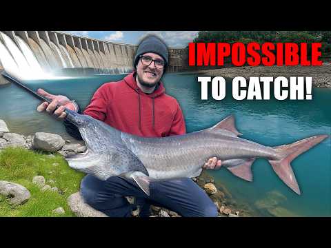 Chasing Down The Fish That Won't Eat Lures!