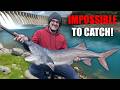 Chasing Down The Fish That Won T Eat Lures