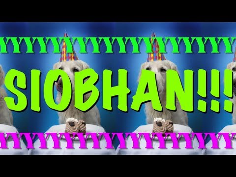 HAPPY BIRTHDAY SIOBHAN! - EPIC Happy Birthday Song