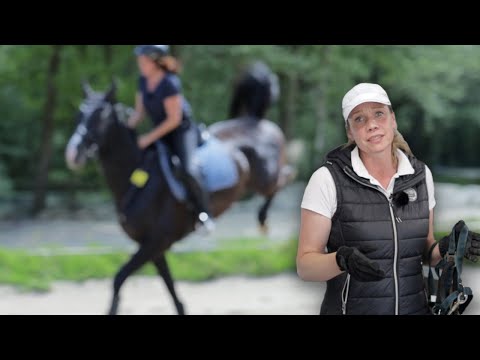 PFERD STEIGT u. BOCKT❗️Pferdewirtin weiß nicht weiter und bittet um Hilfe