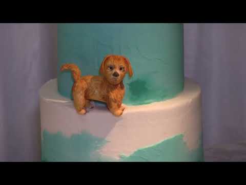 Sigs Photography and Video video.