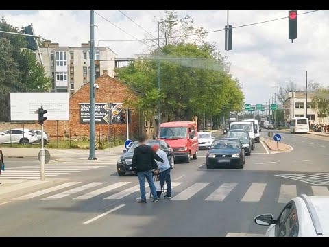 Esélye nem volt átérni! Kipattant, megállította a forgalmat és átkísérte