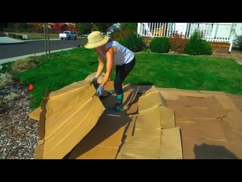 Convert Your Lawn by Sheet Mulching