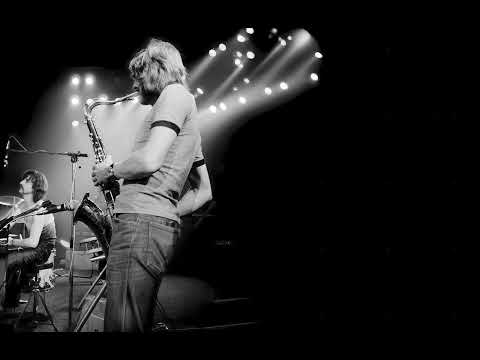 Pink Floyd | Shine On You Crazy Diamond (Parts I-V) [Isolated Sax Solo from Part V]