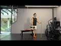 Hand Supported RFE DB Split Squat