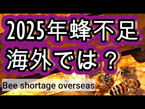 経済学科 晴蜂雨読 ㊿／2025年のミツバチ不足は人類共通の試練なのか？海外の報道から見えてくるその深刻な実態は？ (2025年4月、その4)／山崎亮一／日英字幕付き／Bee shortage overseas