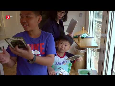 Eisenbahn Romantik: Kyushu - Auf schmaler Spur durch Japans Süden Doku (2020)