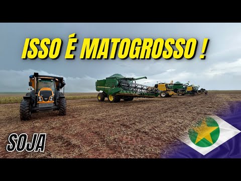 Isso é MATO GROSSO !!! 😱 Colheita de Soja safra!