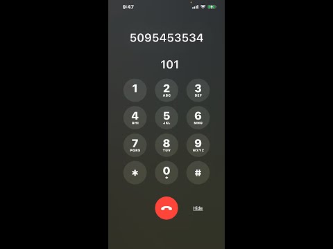Pasco Dmv Phone Number