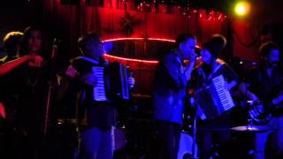 Living With The Dreaming Body   Poi dog Pondering Austin