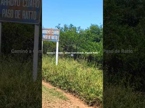 Camino entre las localidades de Diego Lamas y Cuaró , departamento de Artigas , Uruguay 🇺🇾  Videitos
