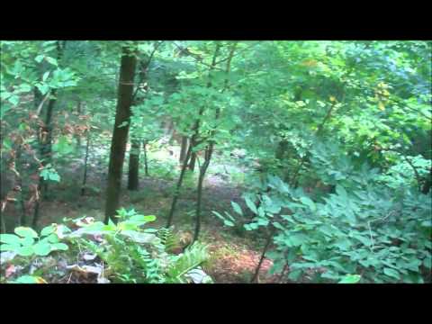 MRR Vlog Episode 3 - M Looks for Caves