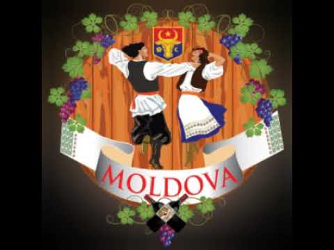 For. Prut - domnisoara nu pleca (cover) 2021