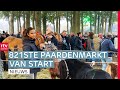 Duizenden bezoekers op de Zuidlaardermarkt & boeren komen met eigen stikstofplannen | Drenthe Nu