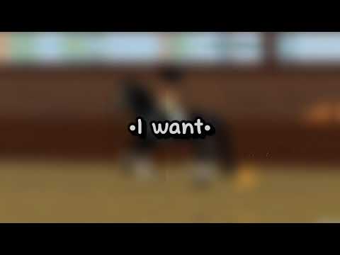 ˚•˚Sassy Horse˚•˚✨✨✨˚•˚VelvetTheHorse