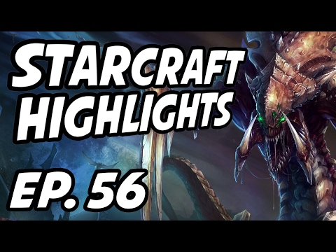 StarCraft Daily Highlights | Ep. 56 | StarCraft, Proxy_Tempest, Avilo, wintergaming, LowkoTV