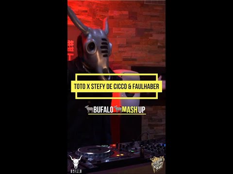🐃FWM21: Toto x Stefy De Cicco & Faulhaber  🐃