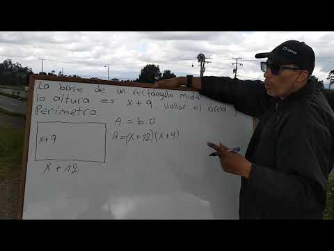 Área y perímetro de un rectángulo con expresiones algebraicas.