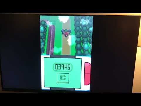 Getting through eterna forest