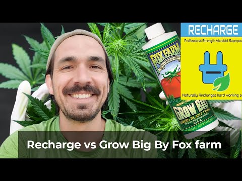 Recharge vs Grow Big By Fox farm