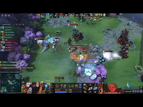 Entity wins RNG the longest game in TI Main Stage history