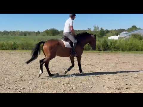 Zeus video 2