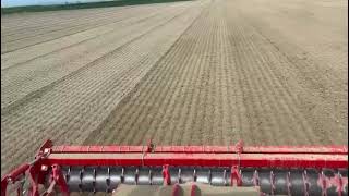 #çim #bahçe #peyzaj #karacabey #bursa #agriculture #keşfet #fypシ