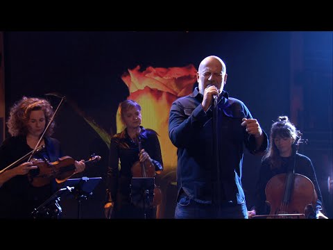 'Liefde van Later' | Paskal Jakobsen | Sophie & Jeroen