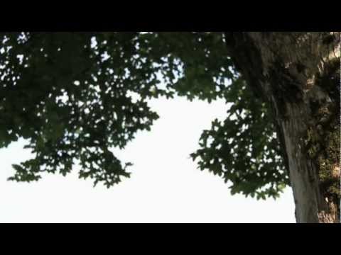 Eduardo Di Capua: O sole mio - Levente GYÖRGY 2012