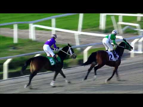 220805 c05 FAMOUS DILL