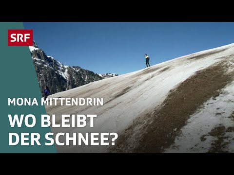 Im gefährdeten Skigebiet – Die Grimmialp trotzt der Krise | Mona mittendrin 2023 | SRF