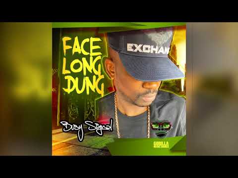 Busy Signal - Face Long Dung [Audio]