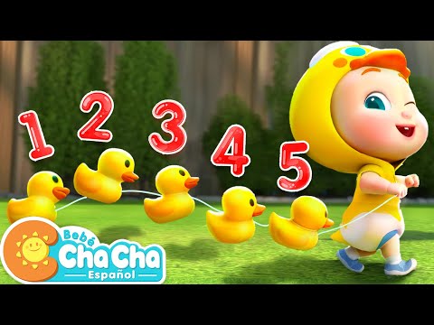 Cinco Patitos🦆 | Aprender Números del 1 al 5 | Bebé ChaCha Canciones Infantiles & Videos para Niños