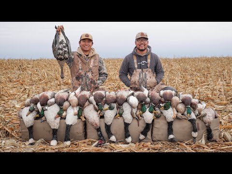 5 MAN LIMIT Duck and Goose Field Hunt! (Bonus Specklebelly Goose)