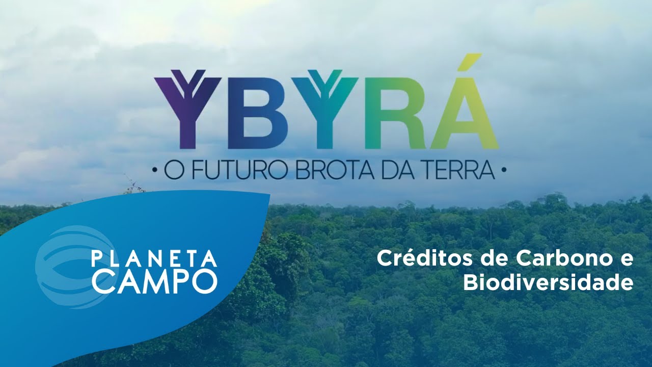 Créditos de Carbono e Biodiversidade: O Impacto do Projeto Ybyrá na Amazônia